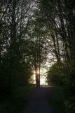 050