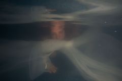 28DSC_2610