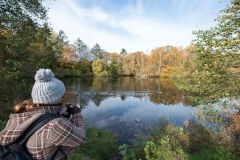 008
