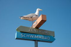 375